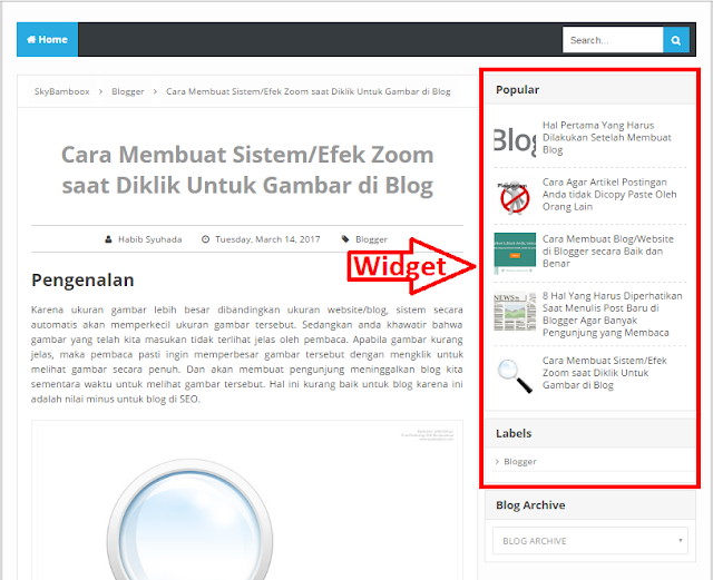 Cara Memasang Widget Blog Untuk Pemula