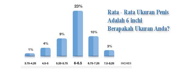 survey ukuran vimax Obat Pembesar Penis Vimax Capsule Canada Original