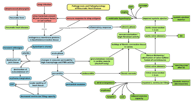 Rheumatic Heart Disease fever Pathogenesis Pathophysiology demam jantung