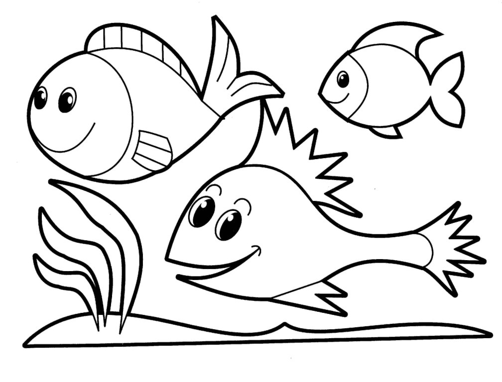 Animals Coloring Pages  Realistic Coloring Pages