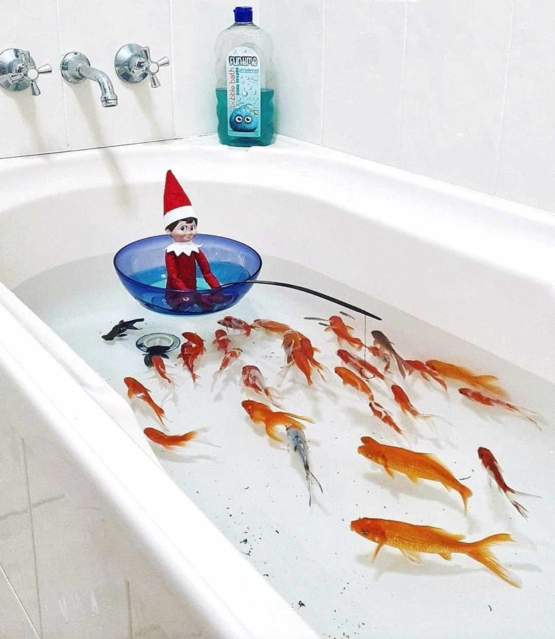 elf fishing in the bath with real fish.