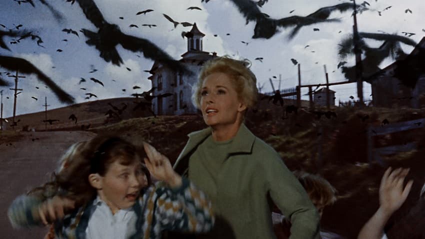 Universal разрабатывает ремейк хичкоковского хоррора  «Птицы» - в главной роли Скарлетт Йоханссон