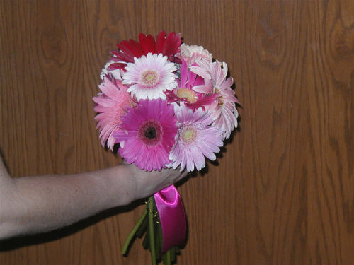 Gerbera daisy bouquet made up of a multitude of pink gerbera flowers of all