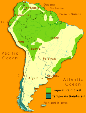 AMAZON RIVER & FOREST, SOUTH AMERICA