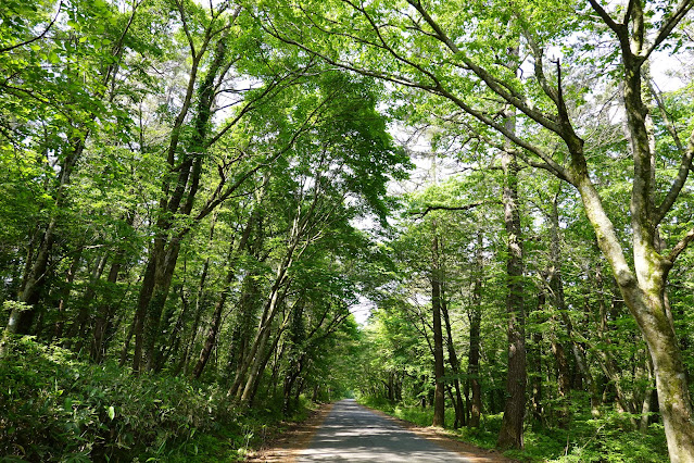 鳥取県西伯郡大山町大山　連絡路