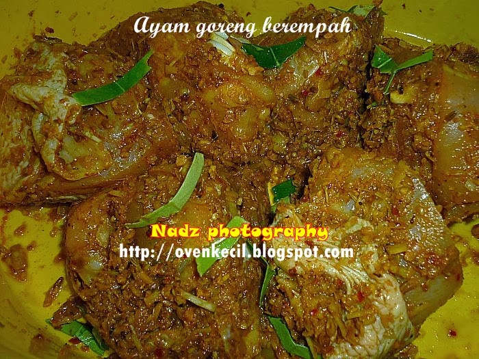Resepi Ayam Goreng Berempah Bonda Rozita - Listen ff