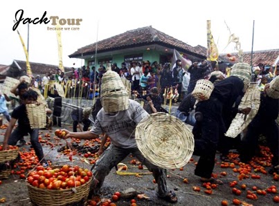 Tour in Bandung: Lembang dan Ksatria Tomat