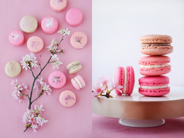 Cherry blossom macarons from