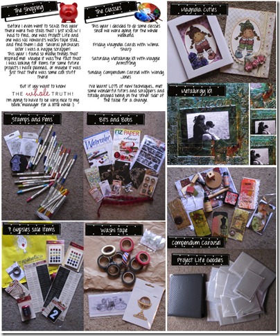 SENZ BACK copy_1