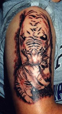 tiger animal tattoo