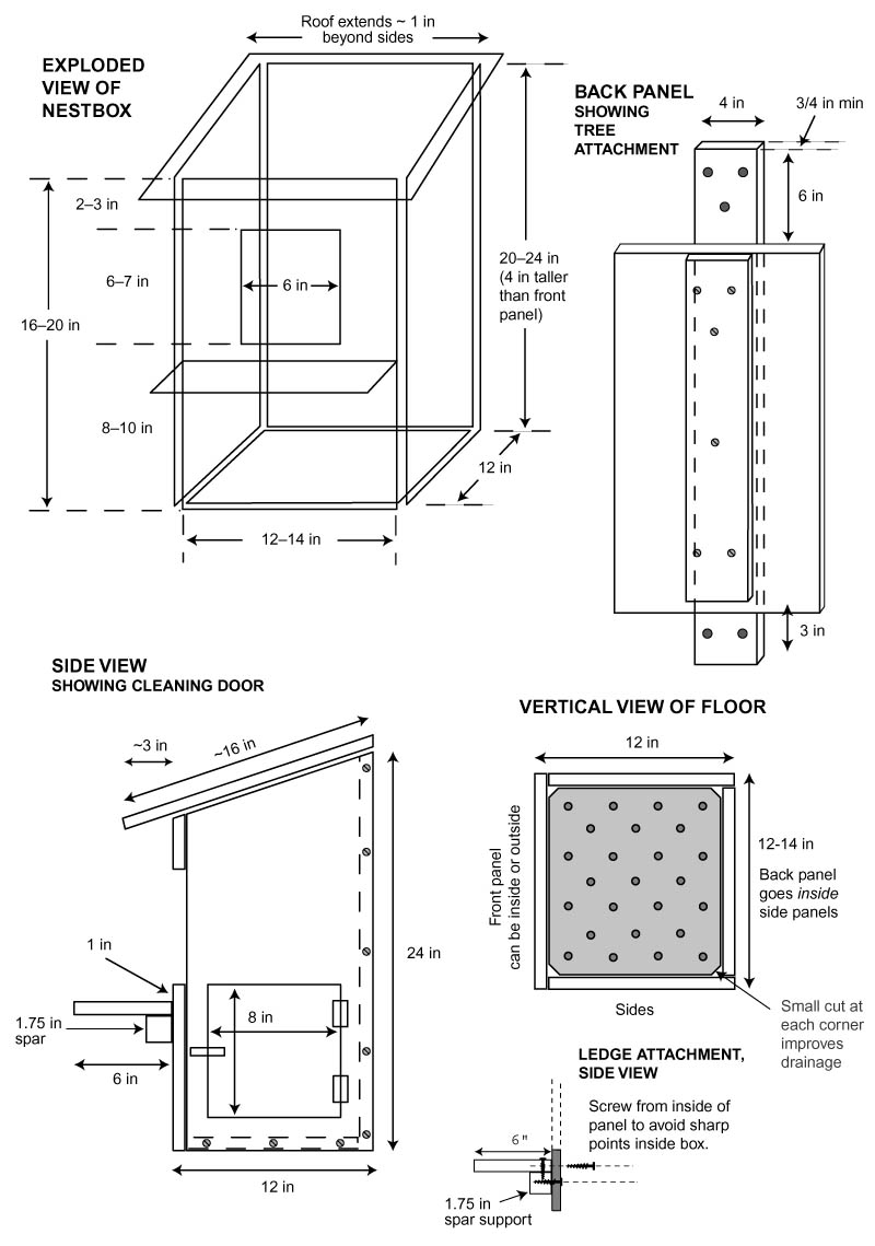 Woodworking Plans For Bird Nesting Cabinet Makers