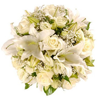 free white lily flowers 