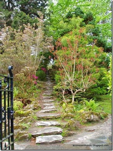 Península de Kerry. Muckross. Jardines - P5060940