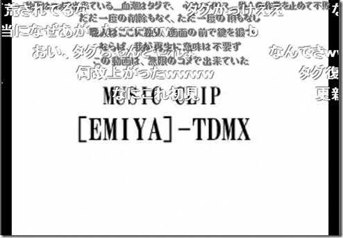 photo19
