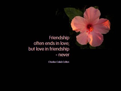 quotes and pics. quotes and sayings on love. in