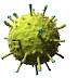 Characteristics Of Virus