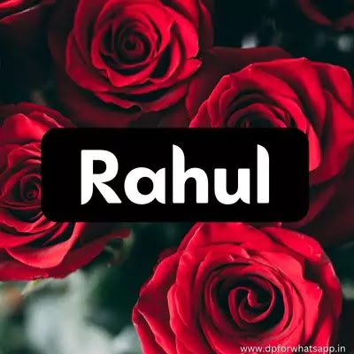 rahul name style