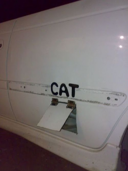 puerta para gatos en auto