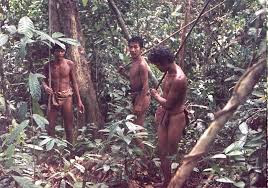 Forest Tribe in Batam.