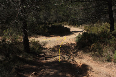 CABRA DEL CAMP-COLL DE SÀRRIA-ROC DEL COGULLÓ-EL COGULLÓ-PUIG DE COMAVERD-COLL DE VALLS, carrerada de Cabra del Camp a Vallespinosa