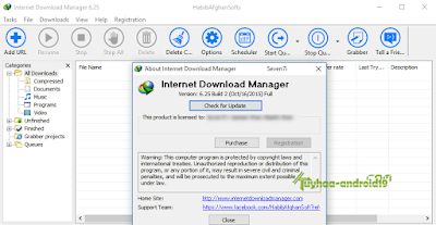 Internet Download Manager 6.25 bulild 02 full crack