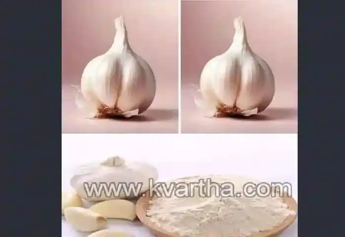 Malayalam-News, National, National-News, Lifestyle, Lifestyle-News, Agriculture, Agriculture-News, New Delhi, Garden, Cultivation, Unlocking Winter Blooms with a Teaspoon of Garlic.