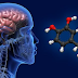 Cara Mengurangi Dopamin di Otak