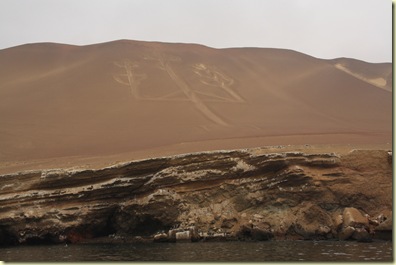 Islas Ballestas 036