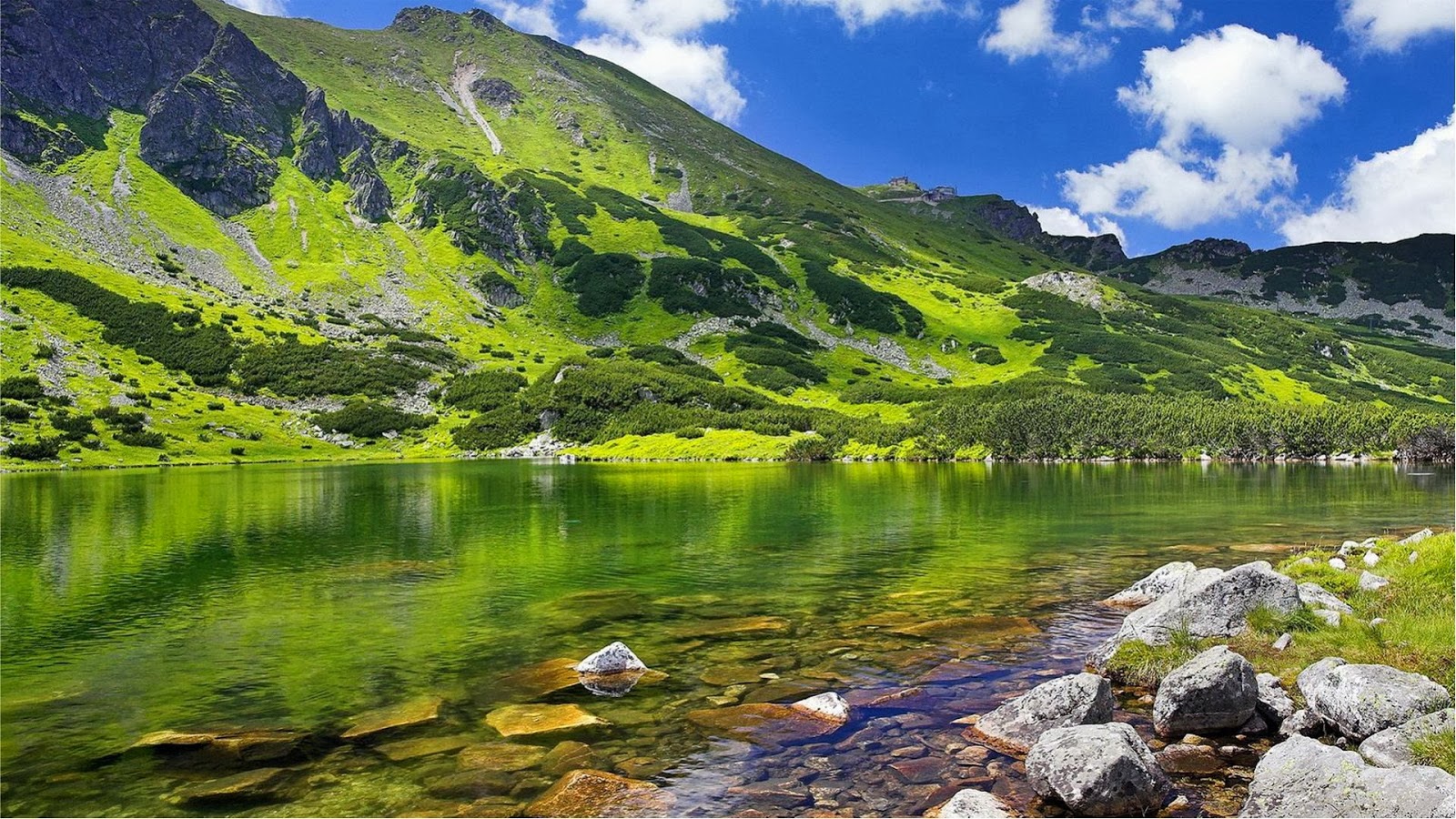 Beautiful Mountain Lake Landscape