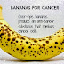 Full Ripe Banana With Dark Patches Combats Abnormal Cells And Cancer - Facts Analysis