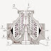 Centrifuge (Centrifugal Separator)