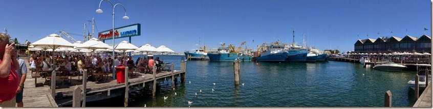 P1000806