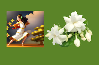 jasmine for beauty