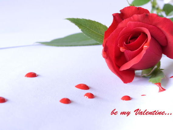 Happy Valentines Day download besplatne pozadine za desktop 1152x864 slike ecard čestitke Valentinovo ruža