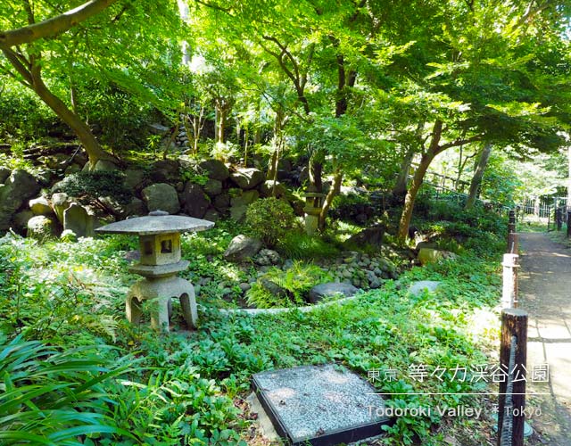 等々力渓谷公園の日本庭園