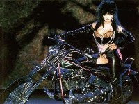 Elvira on motorcycle tag