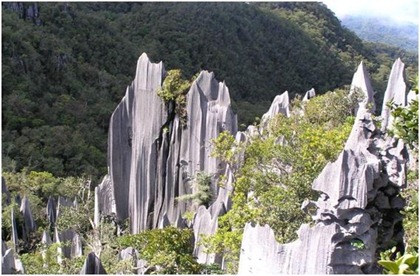 Gunung Mulu National Park