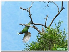 20120430_114404_016_Hualien_1