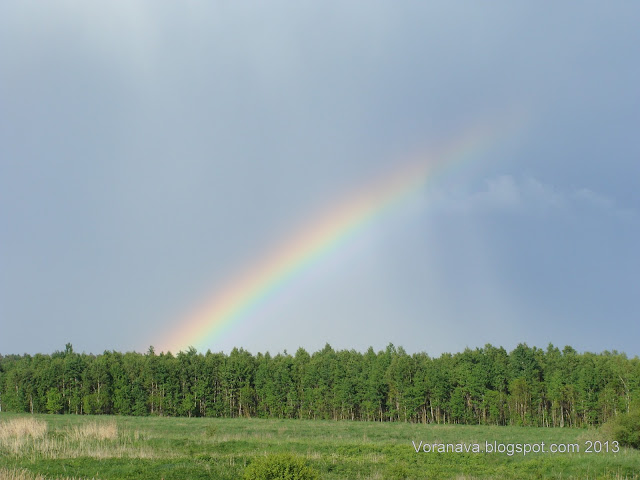 Вороновский район