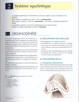 Télécharger Livre Gratuit ANATOMIE Système squelettique pdf