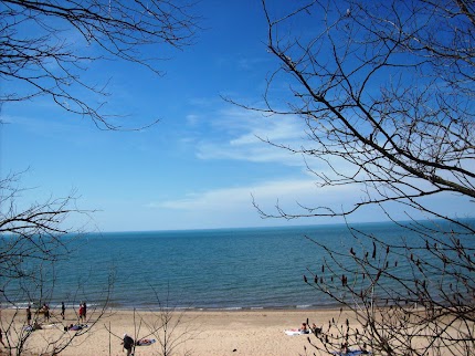 St. Patrick's Beach Day