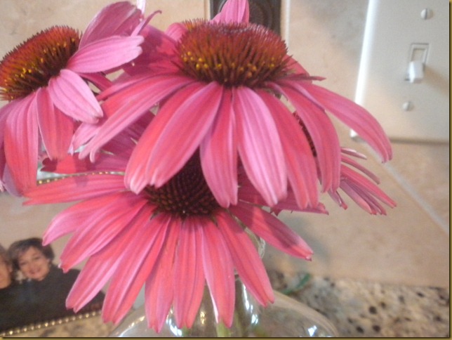 DSCN4203_254