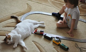 Funny cats - part 85 (40 pics + 10 gifs), cat annoying kid playing train