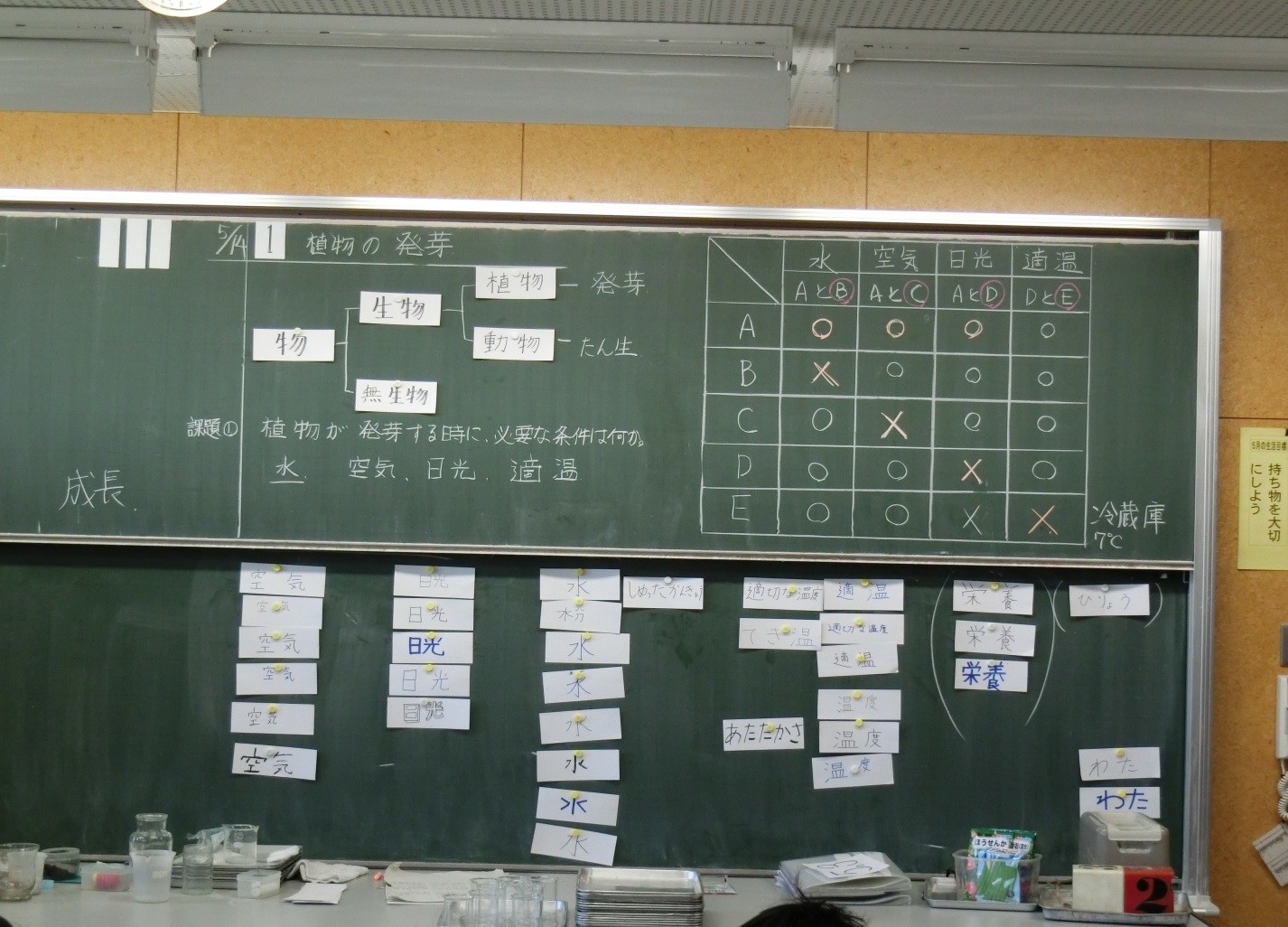 板書ノート 植物の発芽 成長 板書ノート 植物の発芽 成長