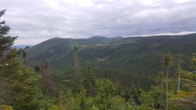 Vue à partir du sentier en direction vers le sommet Eudore-Fortin.