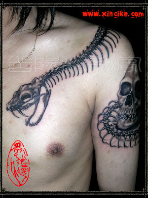 Designtattoo Free on Free Tattoo Designs   Snake Skeleton Tattoo Design