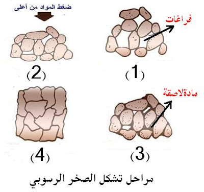 مراحل تكون الصخور الرسوبية