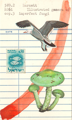 seagull bird identification illustration mushroom fungi Israel vintage postage stamp two fish library due date card collage art by Justin Marquis