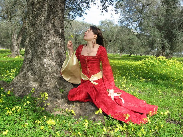 Red Medieval Wedding Dresses