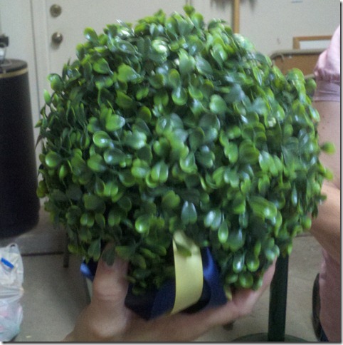 2012-07-21 20.37.47